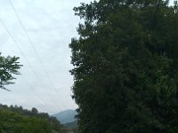 2017-05-28 13.21.47